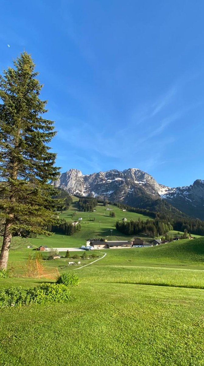 夜はカレーでひと休み 🧺。元気。