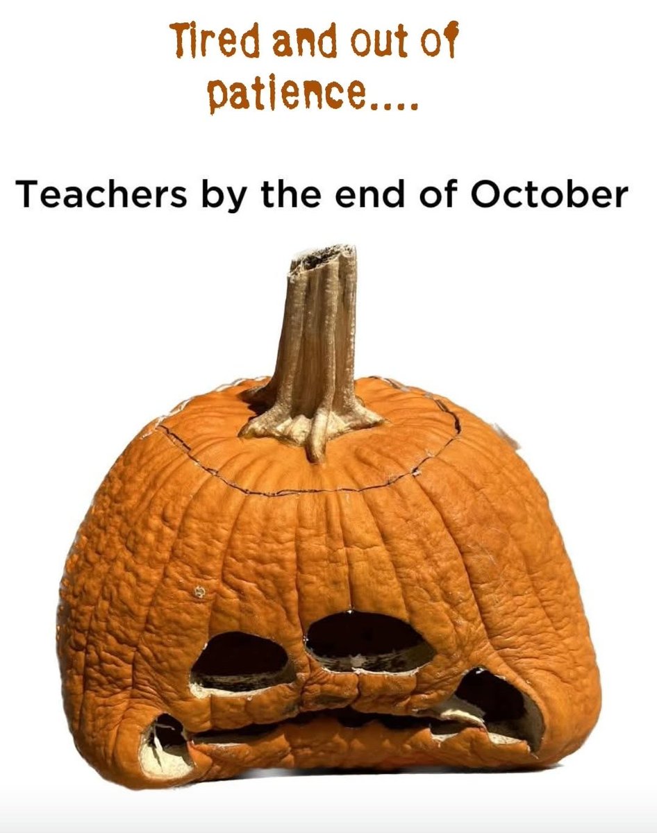 𝑺𝒂𝒏𝒅𝒚 𝑩𝒆𝒄𝒌𝒆𝒓 tweet media