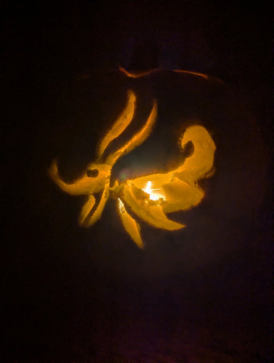 DerekRubyShow's tweet image. Halloween pumpkins are ready. #Halloween2025