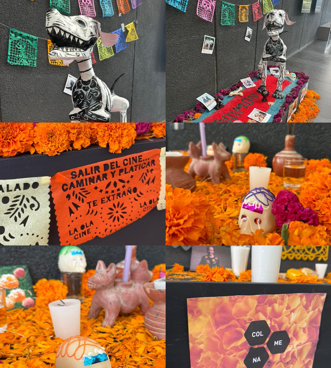 Porque el cine recuerda, reconoce y preserva, te invitamos a conocer los altares que distribuidoras como <a href="/DaimonCine/">DAIMON</a>, <a href="/LaOlaCine/">La Ola</a> y <a href="/colmenacine/">Colectivo Colmena</a> colocaron en Cineteca Nacional México 🔴. 🏵️​💀