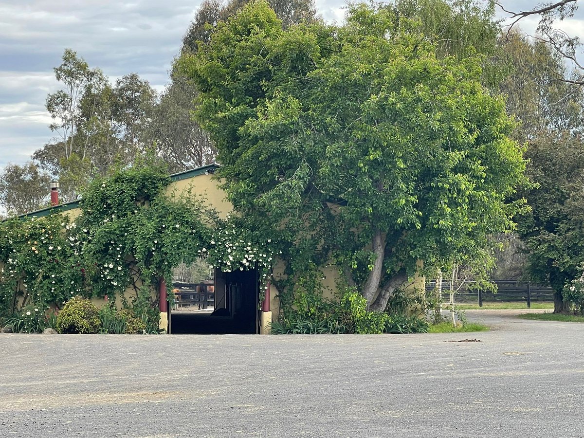 Larneuk stud tweet media