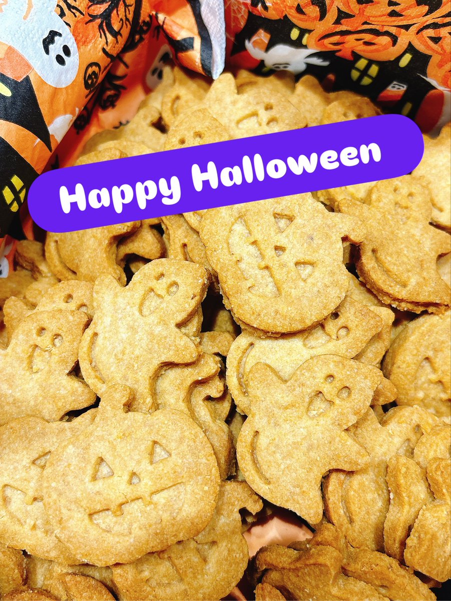 ♥クッキー様♥ Amazon.co.jp: 120缶 恵那 銀の森 プティボワ 120缶サイズ ギンノモリ