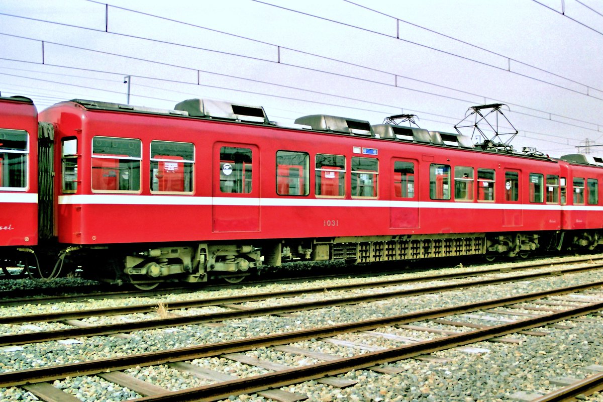 あおんぼ🐾🐥 on X