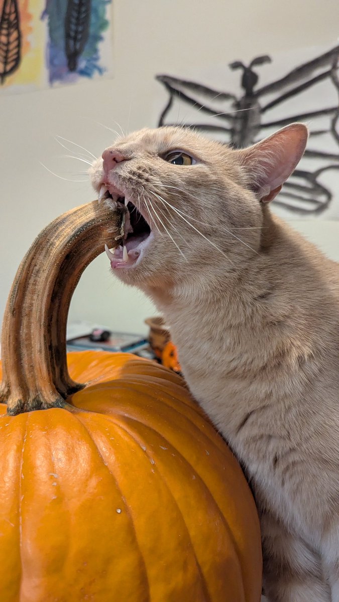 jmblya's tweet photo. This is the scariest thing I've seen all month. https://t.co/i7YXPzyaLW