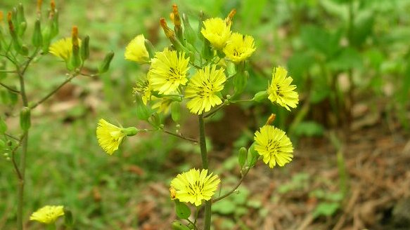 honky_tonk's tweet image. リアリティー：&quot;薄氷を踏む思いで歩く&quot;
真実：魂の手のひらの上

リスクを肯定的に捉え、あらゆる予想外にオープンさを保ち、意識の拡大 ＆ 進化という最上の旅を続ける。

しょせんは〔夢〕の中の出来事。
プロデューサーあり。

意識と行動を整え、結果を委ねてゆくだけ。
#entrust #委ねる