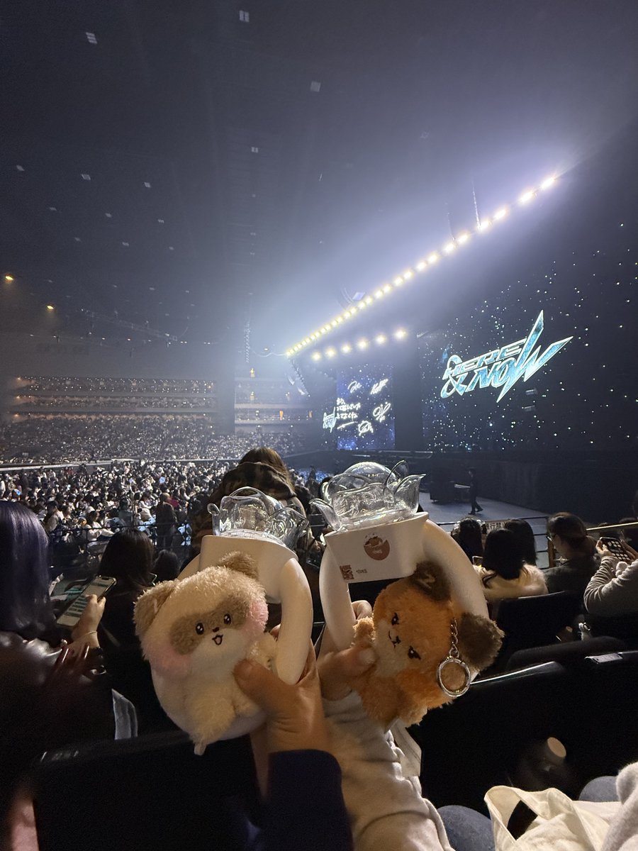 ﾁｮｺ(초코) tweet media