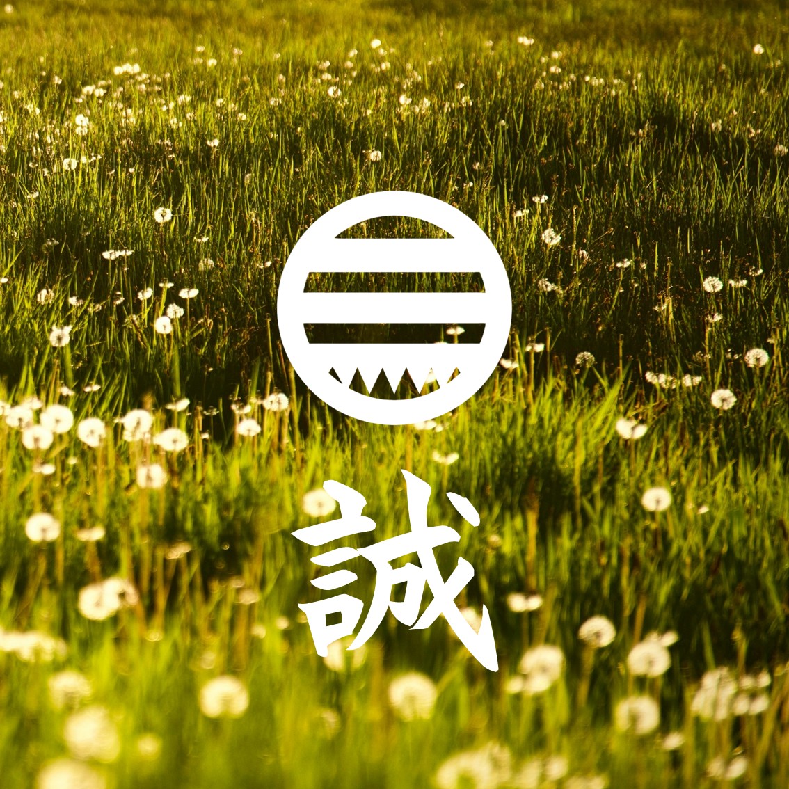 明日も晴れたら Parade Artist on X