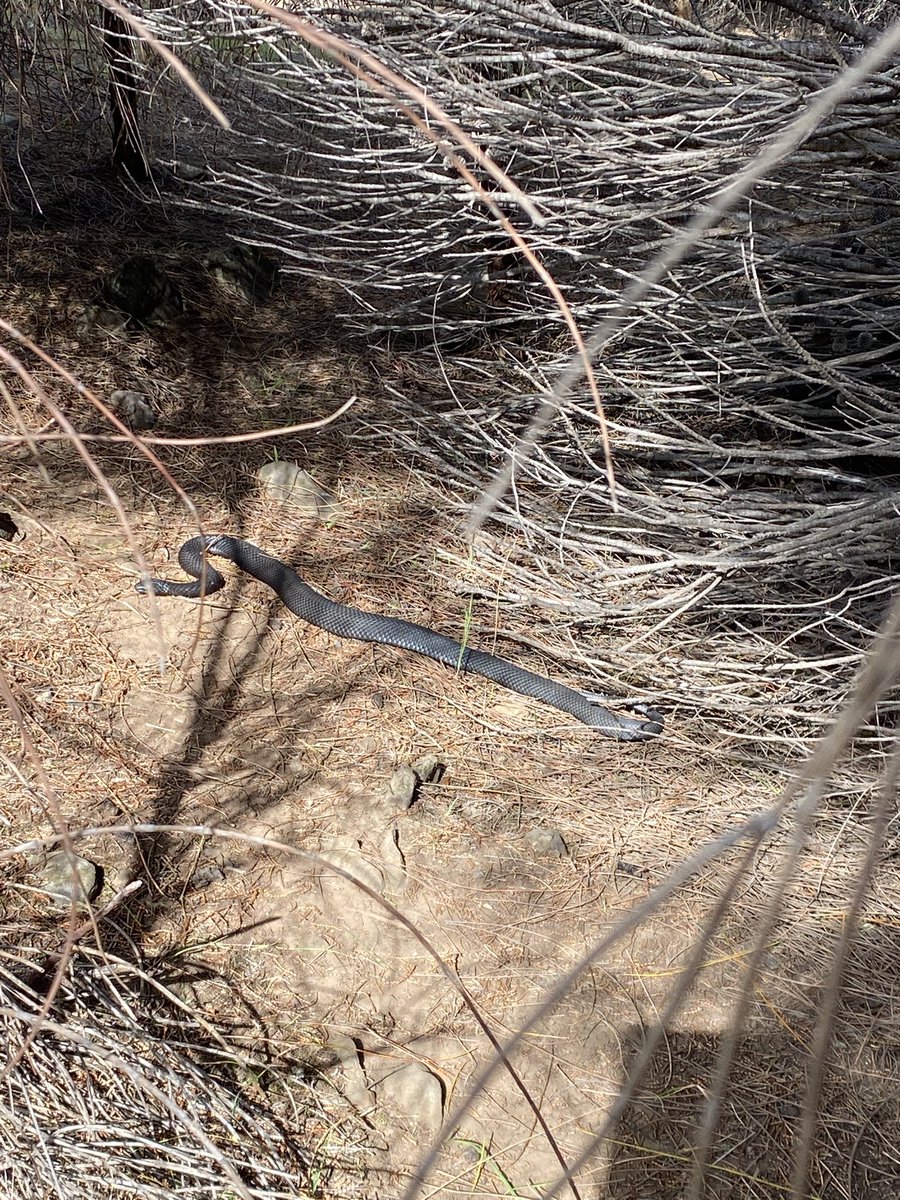 Back home and back up the hill