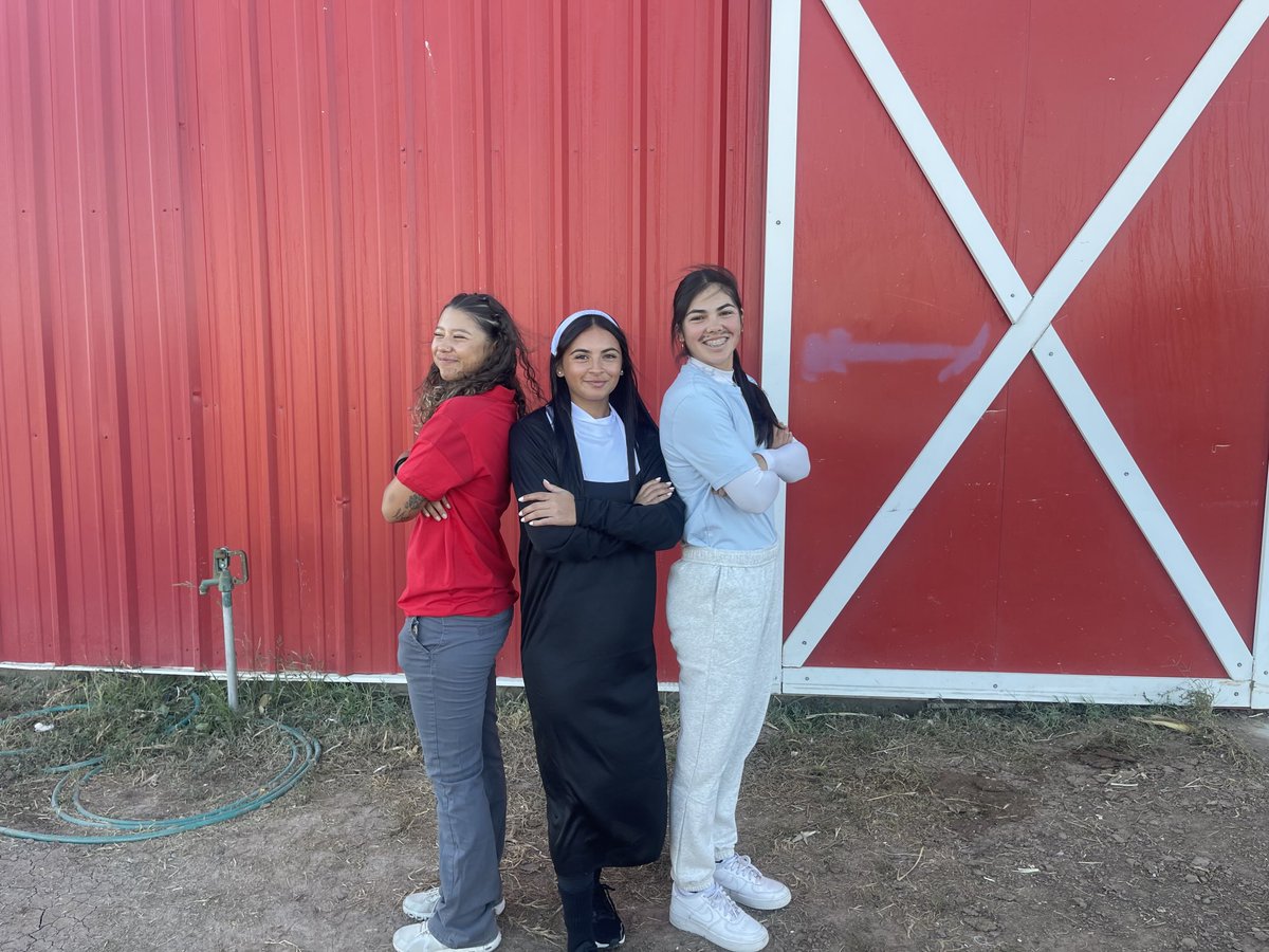 Lady Buff Softball tweet media