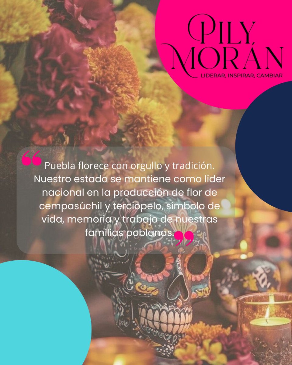 🌼 #PueblaFlorece 🫶

Puebla se consolida como líder nacional en la producción de flor de cempasúchil y terciopelo, orgullo del campo poblano y símbolo de nuestras tradiciones. 🌾✨

🔸 El estado concentra el 72% de la producción nacional de cempasúchil, con más de 15 mil