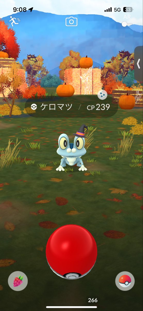 🐥ォィまる(o_o)b tweet media