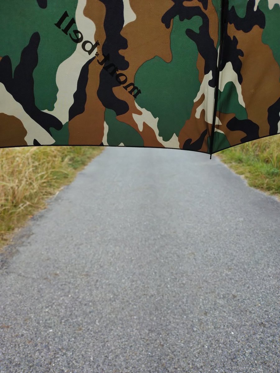 ｹﾛ (@kero2913) / Posts / X