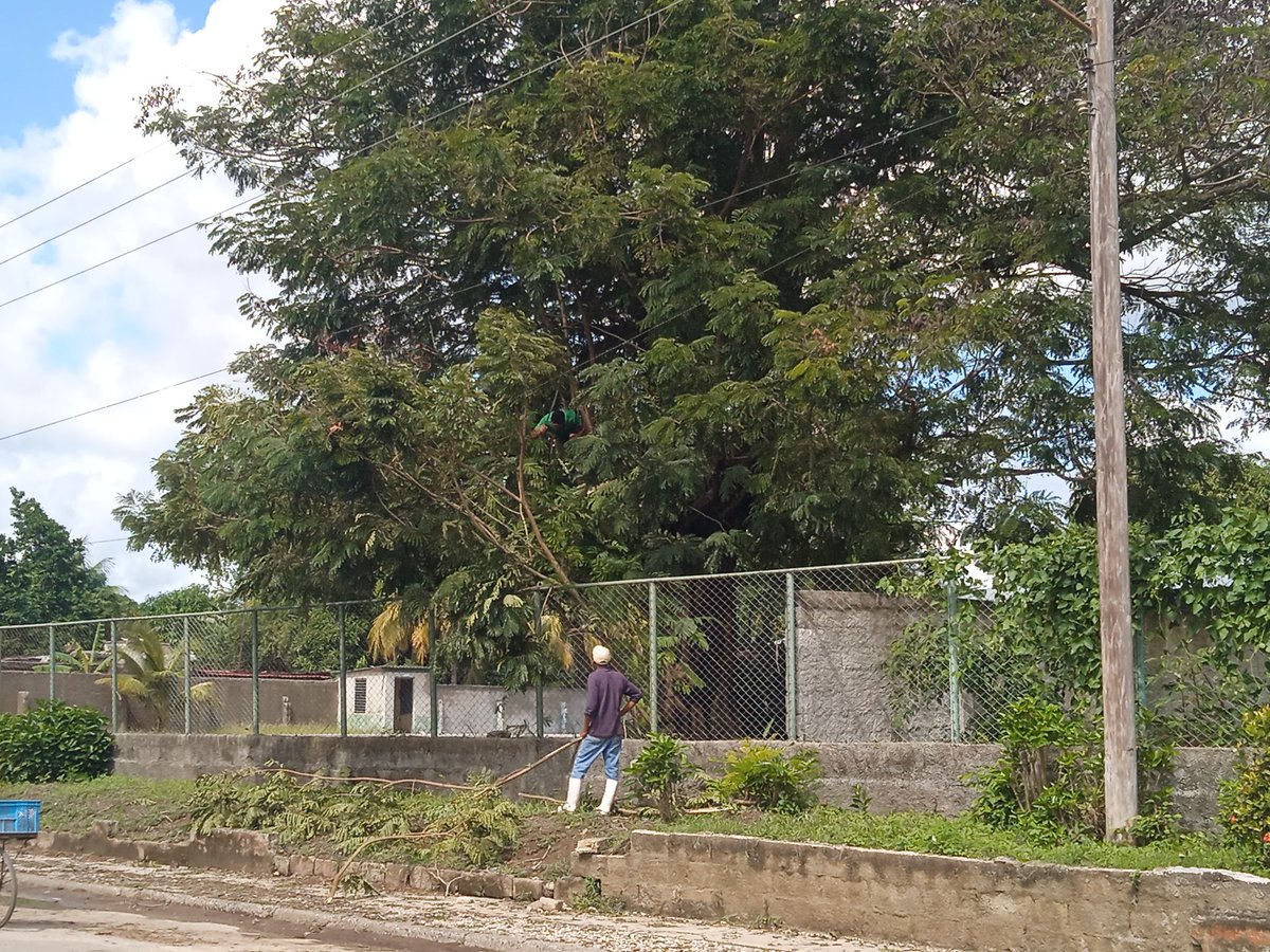 ComercialEsta's tweet image. La #ESTA ya se encuentra en fase recuperativa, limpiando y embelleciendo nuestra empresa lista para su vida cotidiana, siempre activa y combativa @DirGenESTALTU, @capitalh1909, @DirEcoFinESTALT, @LtEsta98179, @ecuadroestaltu,@LorenzoOsbel, @WilsonRamrezPe3