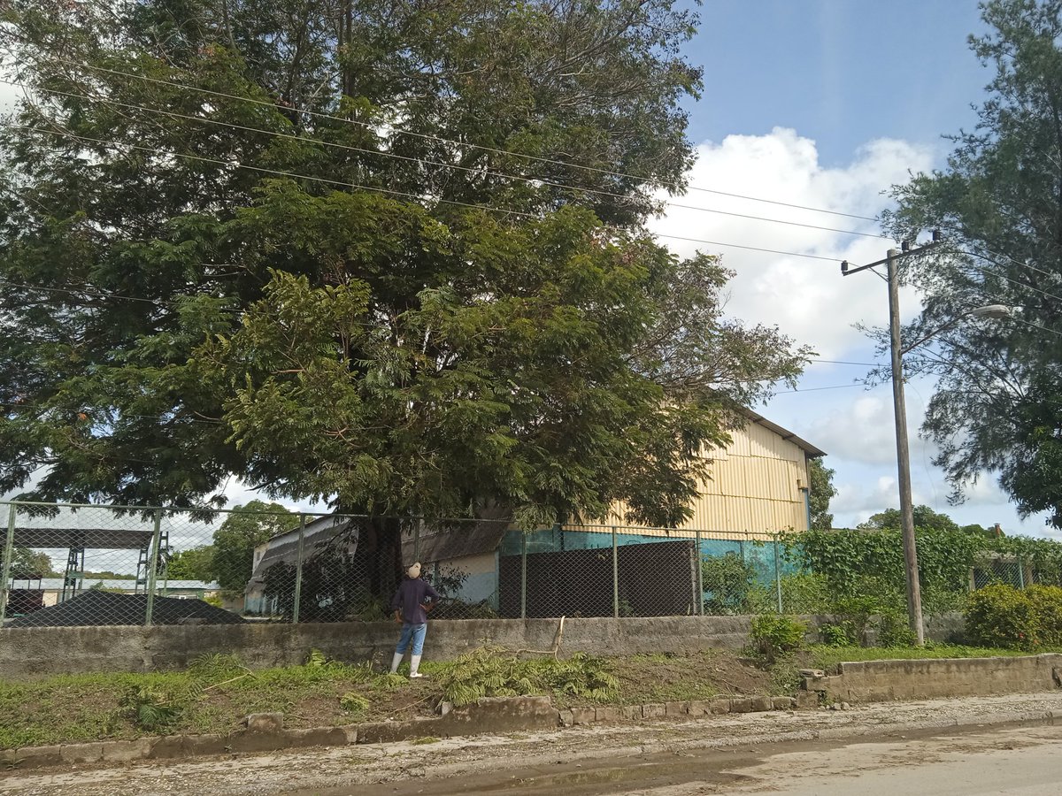 ComercialEsta's tweet image. La #ESTA ya se encuentra en fase recuperativa, limpiando y embelleciendo nuestra empresa lista para su vida cotidiana, siempre activa y combativa @DirGenESTALTU, @capitalh1909, @DirEcoFinESTALT, @LtEsta98179, @ecuadroestaltu,@LorenzoOsbel, @WilsonRamrezPe3