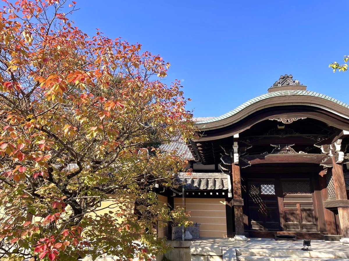 金戒光明寺さん、少しずつ色づき始めています♪

2025.10.30 MKトラベルツアー担当者撮影