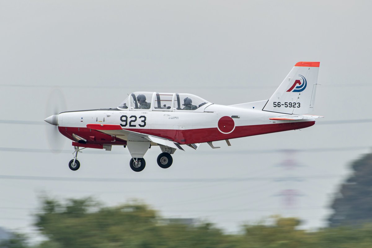 ちきよたん あおぽん on X