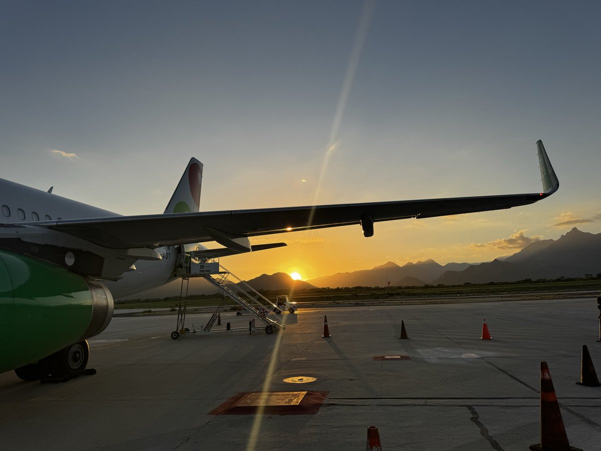 Bunzy 🔮 Alkamon Trainer tweet media