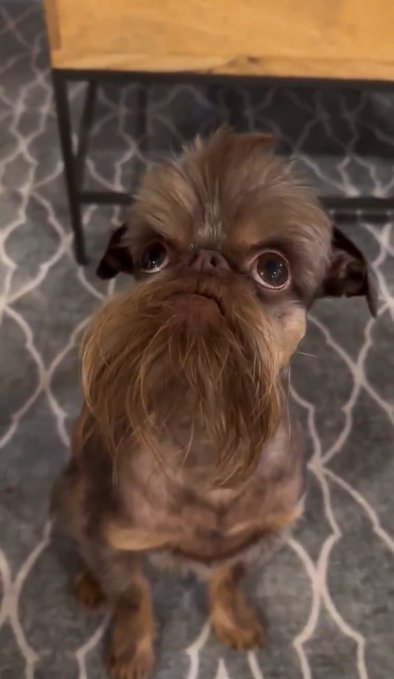 Desde que dijeron que era ibai no puedo parar de ver la imagen