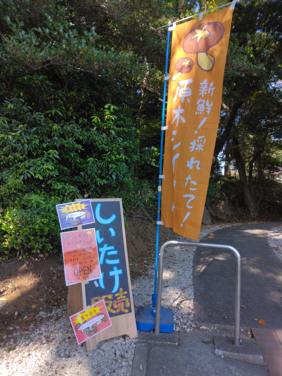 こころみでは「しいたけ＆きくらげフェア🍄」を開催中です。昨日伺ったのがお昼近かったので既に原木しいたけはなく…早めに行くのがマスト！ きくらげは詰め放題やってます。場所はダリア園の少し先、七国山の頂上付近です。のぼりを目印に🚩
instagram.com/p/DP5194EEQxQ/
#イベント #四季彩の杜 #町田