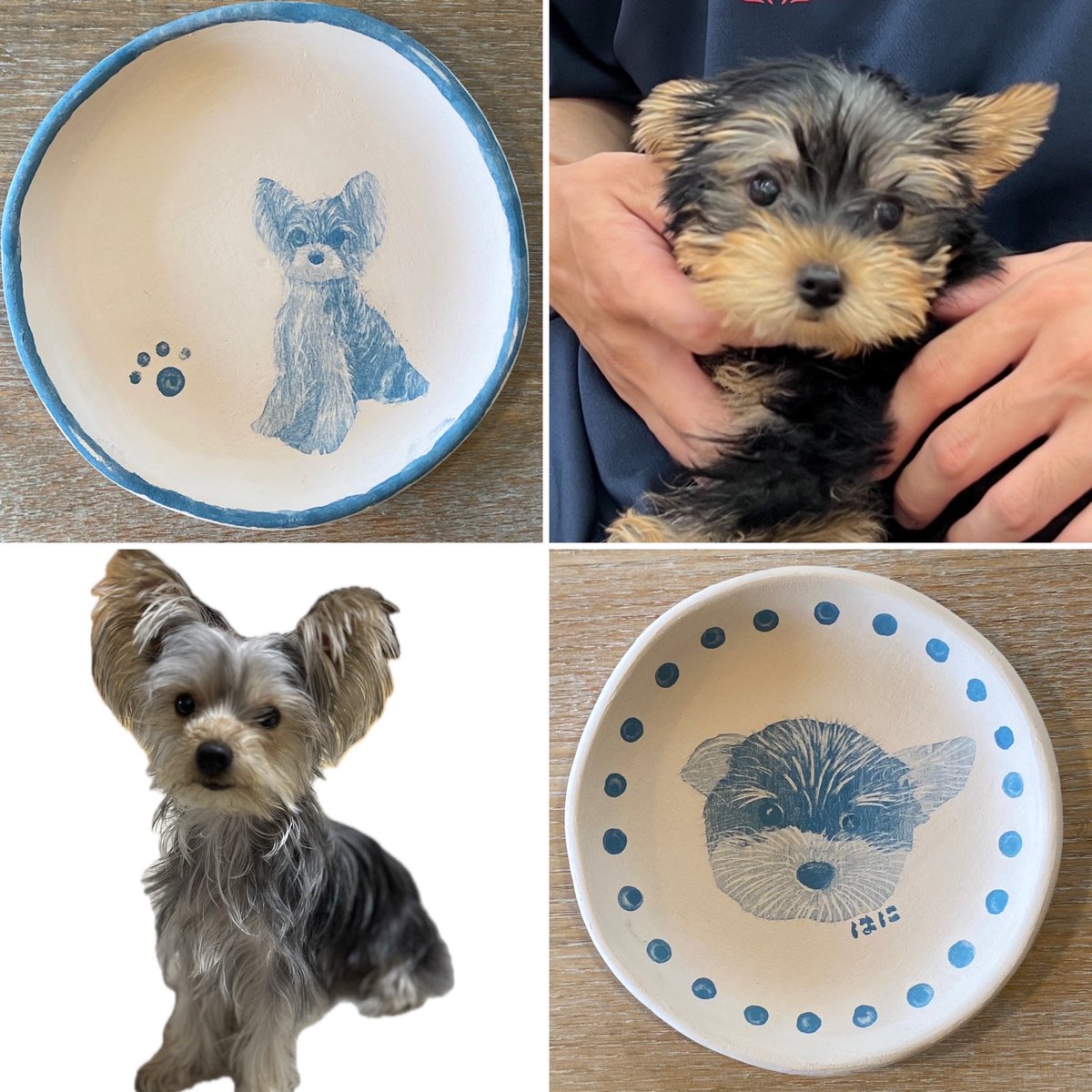 q11g4uDVTQwrb5a's tweet image. 愛犬のヨークシャーテリア「はに君」お家にお迎えした３ヶ月のpuppyちゃんのころから現在１歳までの成長を感じる２枚、お写真を見ながら自らの手で描いた愛おしい豆皿が焼き上がりました。明日から11月…3連休も控えてあたふた焦るそろりと10/31(金)11時オープンです。
