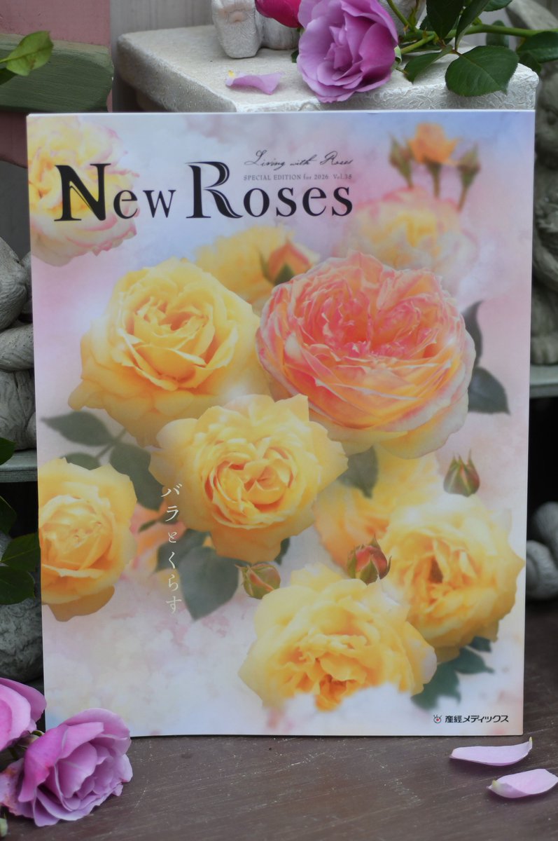 ♡ちぃ様♡お取り置き♡バラ苗 ♡ちぃ様♡お取り置き♡バラ苗 ♡ちぃ様♡ご予約 バラ苗