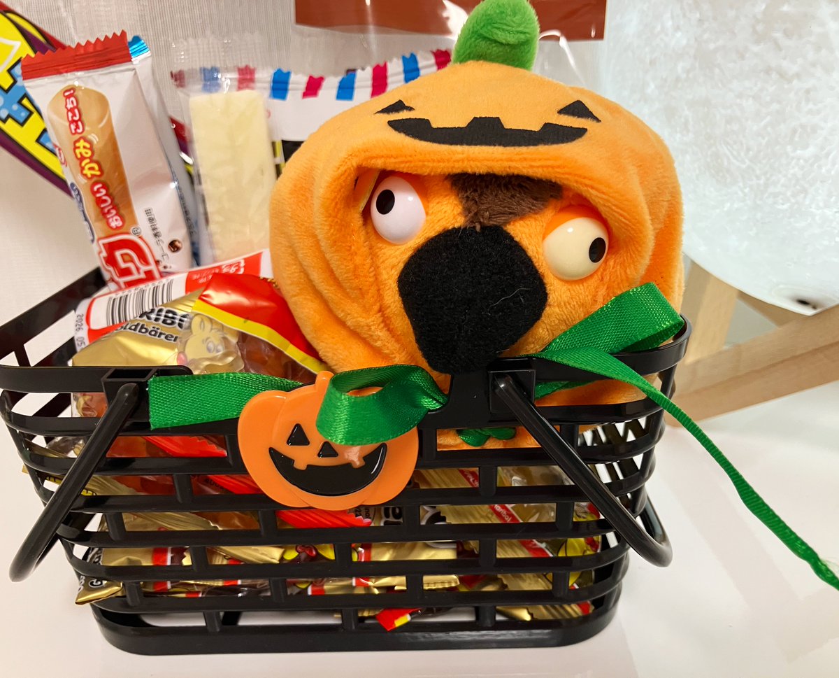 有隣堂しか知らない世界📚書籍発売中 on X