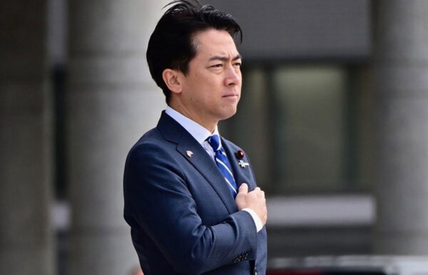 ⭐️白猫⭐️ジャンプ展　50週年　ファン感謝デー NEKOMA ⭐️白猫⭐️ジャンプ展 50週年 ファン感謝デー NEKOMA ⭐️白猫⭐️