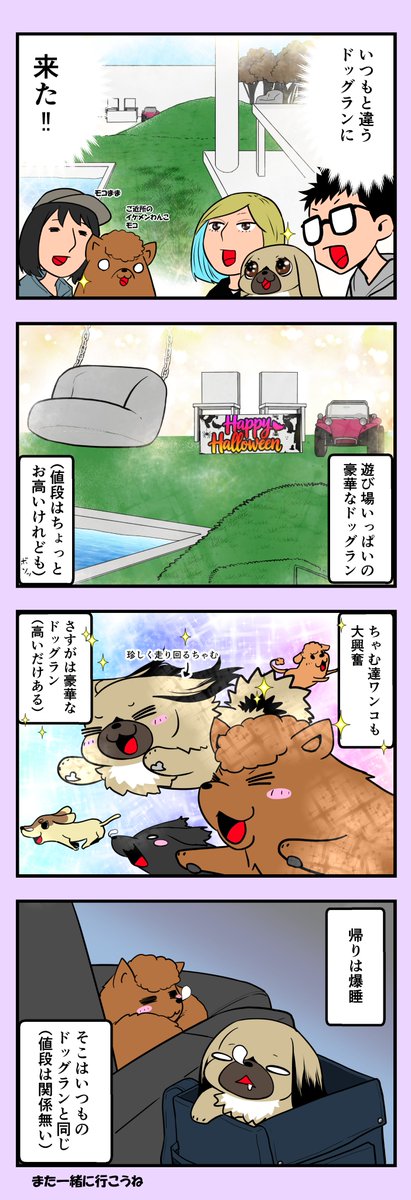 うちのちゃむ 〜マハロハレ編〜 #うちのちゃむ #ペキニーズ #ペキニーズ大好き #ペット #犬 #犬のいる暮らし #犬のいる生活 #可愛い #可愛すぎる #漫画が読めるハッシュタグ #エッセイ 