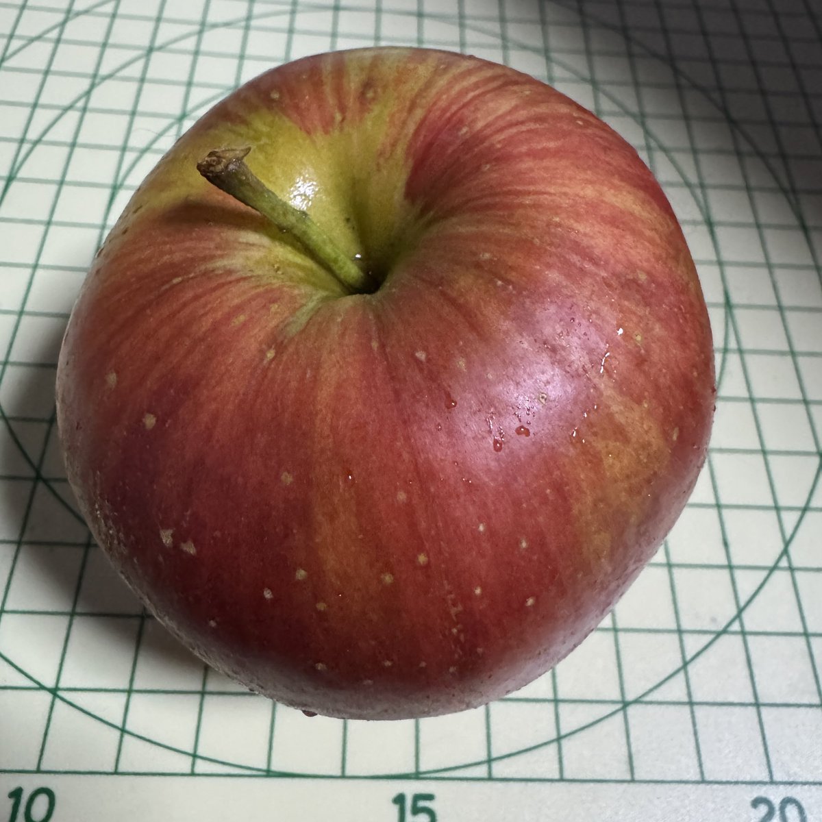 みょりろ ⊘ on X