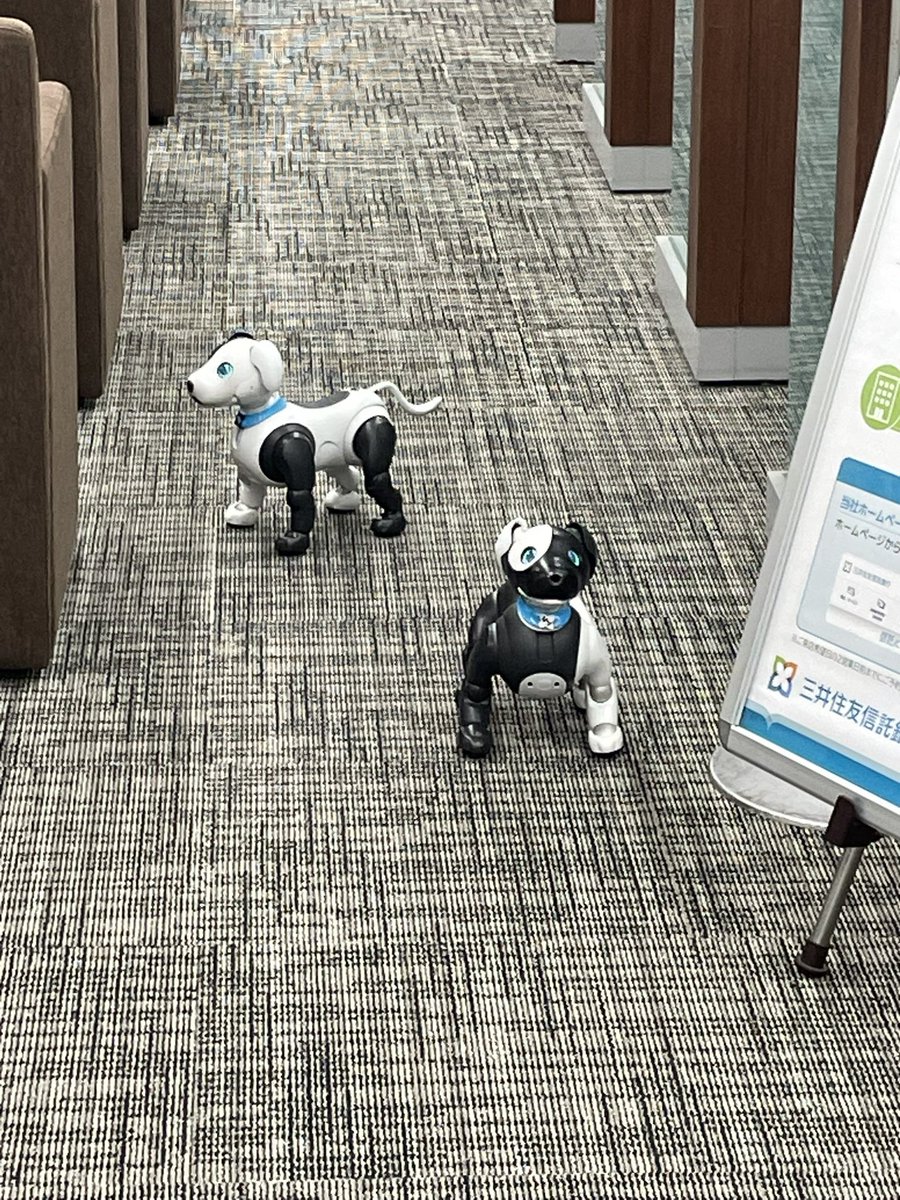 ギャランドゥ14R on X