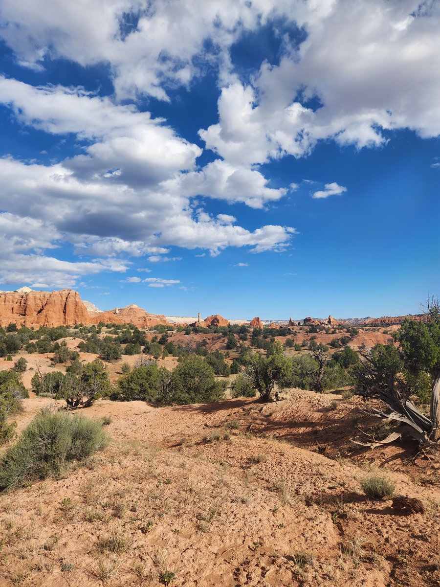 Saturday 1 November

Today’s Daily Picture Theme is ‘Favourite picture from October'

RT or reply with your own photo 

Tomorrow’s theme will be ‘Contributor's Choice: Skies'

#DailyPictureTheme

Beautiful Kodachrome Basin State Park, October 2024.