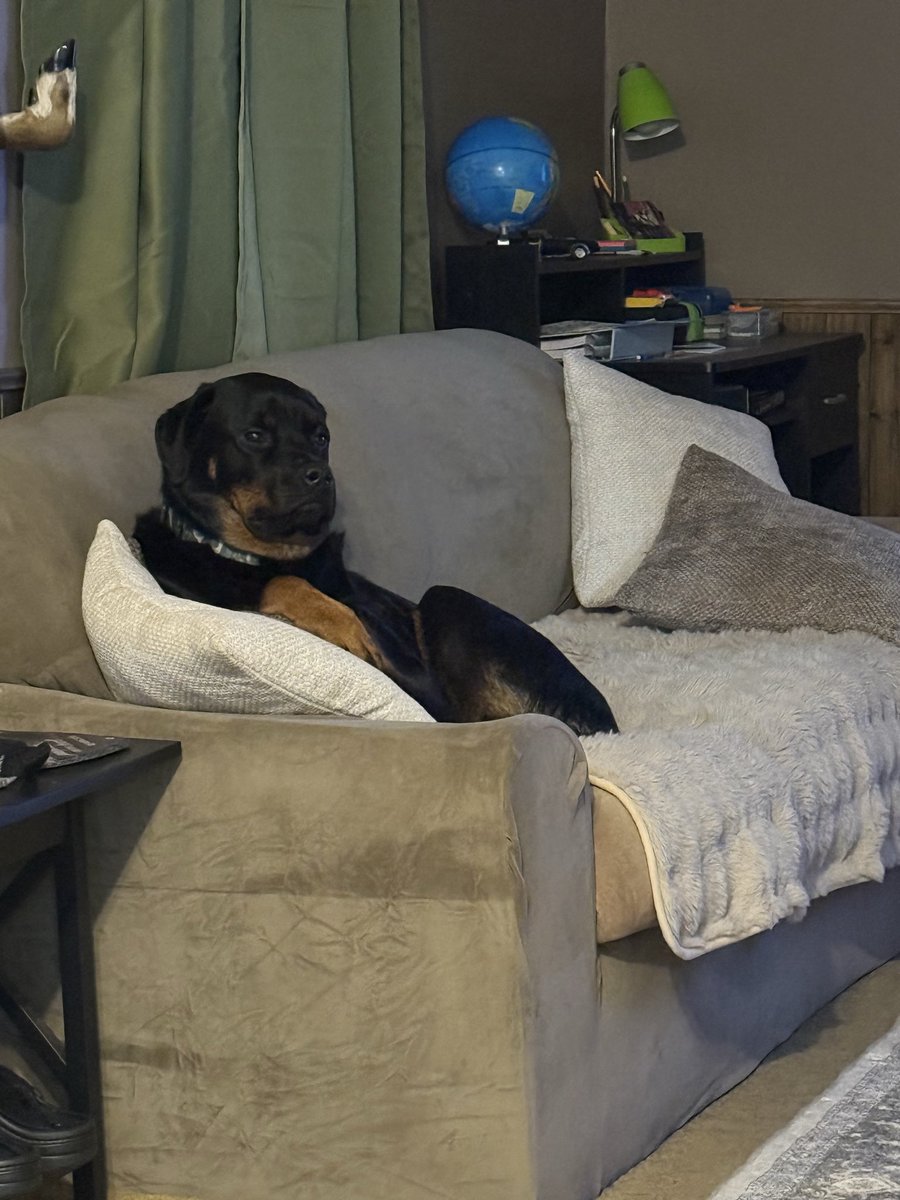 It was a long day of her nap being interrupted by the rain.