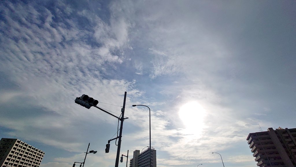 _dee_hii's tweet image. おはようございます☀

あっというまに10月も終わっちゃいますね〜

ハッピーハロウィン

てきとーにおだやかに

#みんなの風景写真 #空がある風景  #you39RT  #イマソラ