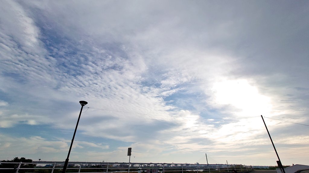 _dee_hii's tweet image. おはようございます☀

あっというまに10月も終わっちゃいますね〜

ハッピーハロウィン

てきとーにおだやかに

#みんなの風景写真 #空がある風景  #you39RT  #イマソラ