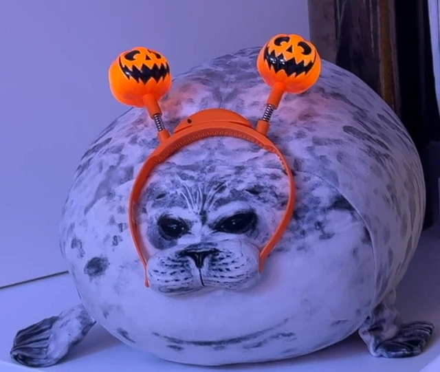 Rat_Council's tweet photo. high quality spooky pheal for u all https://t.co/jLIbKuV0xU