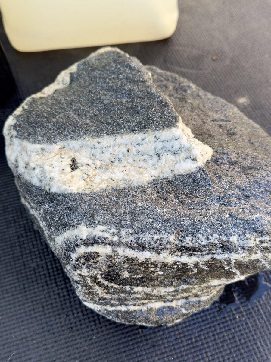 Brenda G (@morongovalleyb) on Twitter photo 