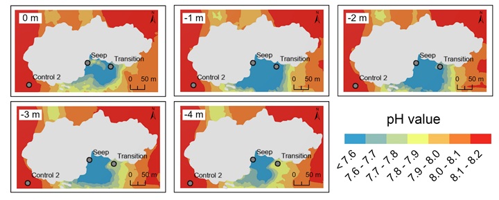 PEPS_JpGU (@peps_jpgu) on Twitter photo A new research article : Published 30 October 2025
 
"Biogeochemical properties of shallow-water CO2 seeps on Himeshima Island and Showa Iwojima Island, Japan"
Masahiko Fujii et al.
doi.org/10.1186/s40645…
SPEPS:
springeropen.com/collections/wnp
#CO2_seep #Ocean_acidification A new research article : Published 30 October 2025
 
"Biogeochemical properties of shallow-water CO2 seeps on Himeshima Island and Showa Iwojima Island, Japan"
Masahiko Fujii et al.
doi.org/10.1186/s40645…
SPEPS:
springeropen.com/collections/wnp
#CO2_seep #Ocean_acidification