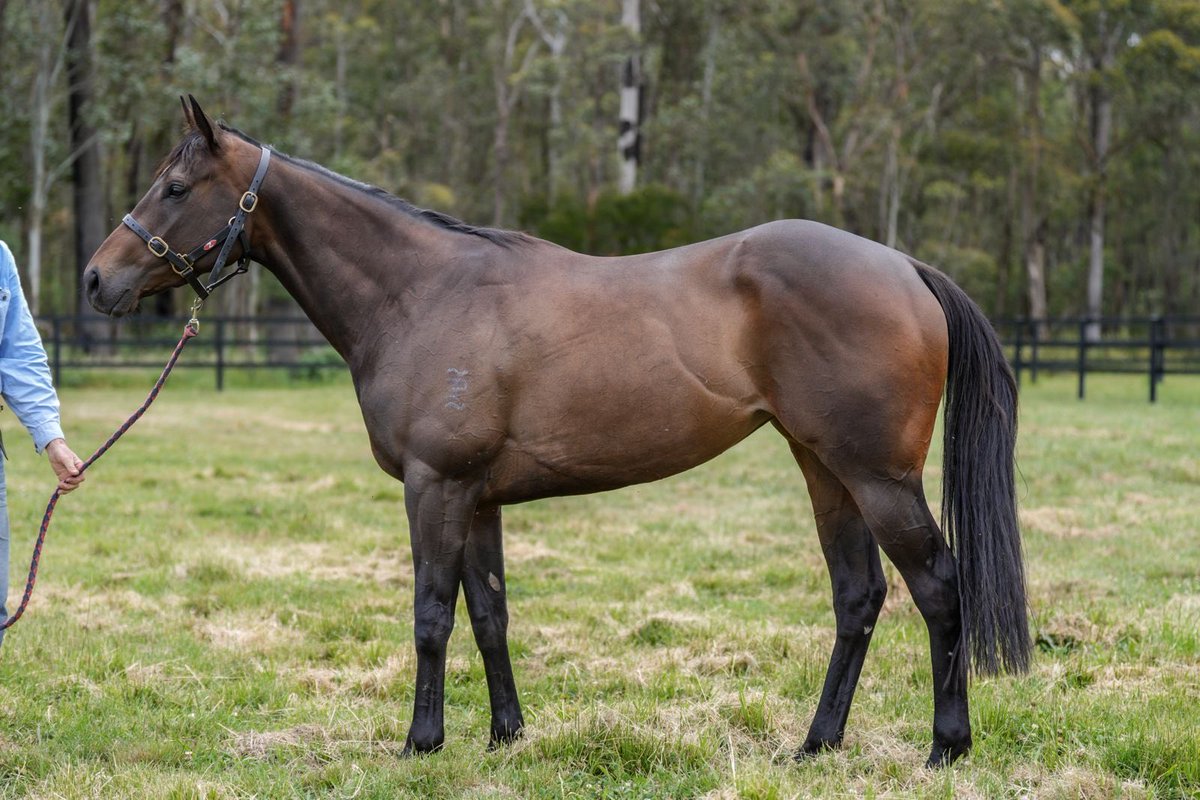 Michael Freedman Racing tweet media