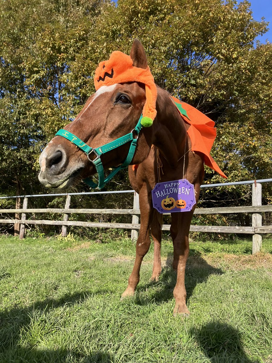 ⭐︎加奈⭐︎ 毎月の撮影 頑張らせてもらっています。 今月はFX3で撮って