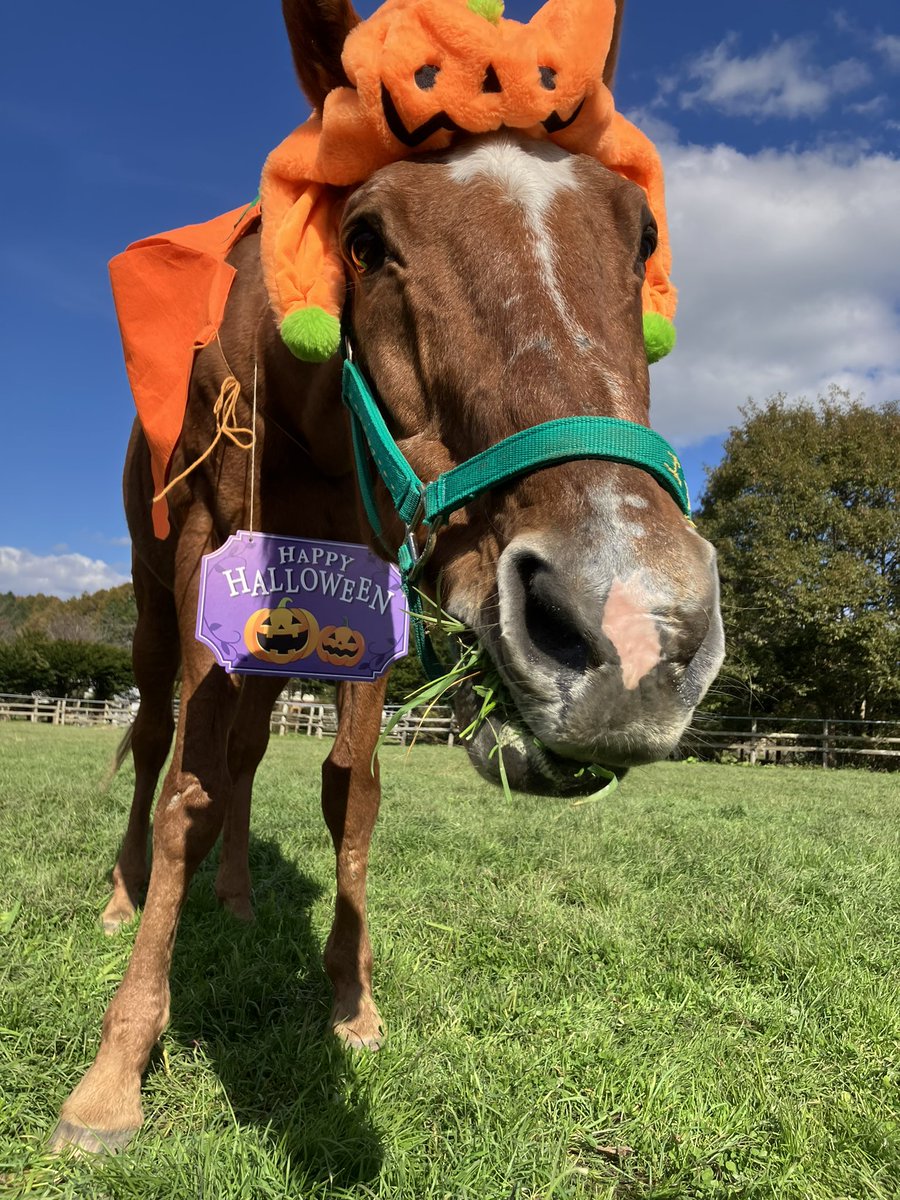 カンナ様❣️専用ページ カンナ (@61kanna3) / Posts / X