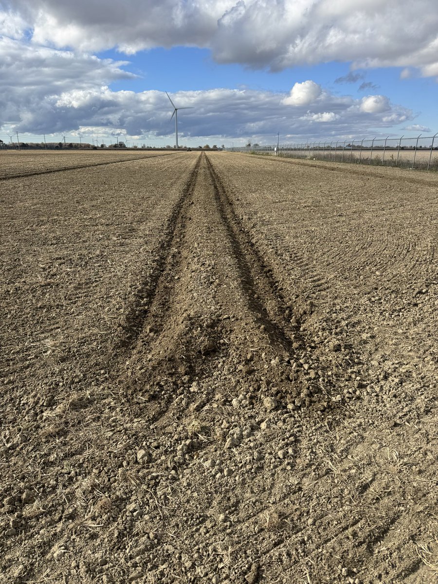 7 Farms Down Inc. tweet media