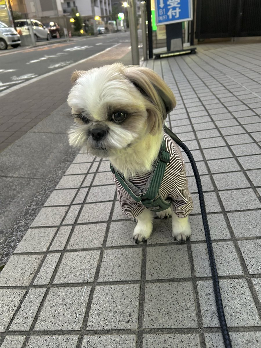 やる気！元気！3児ママ(๑・̑◡・̑๑)ページ 3歳3ヶ月