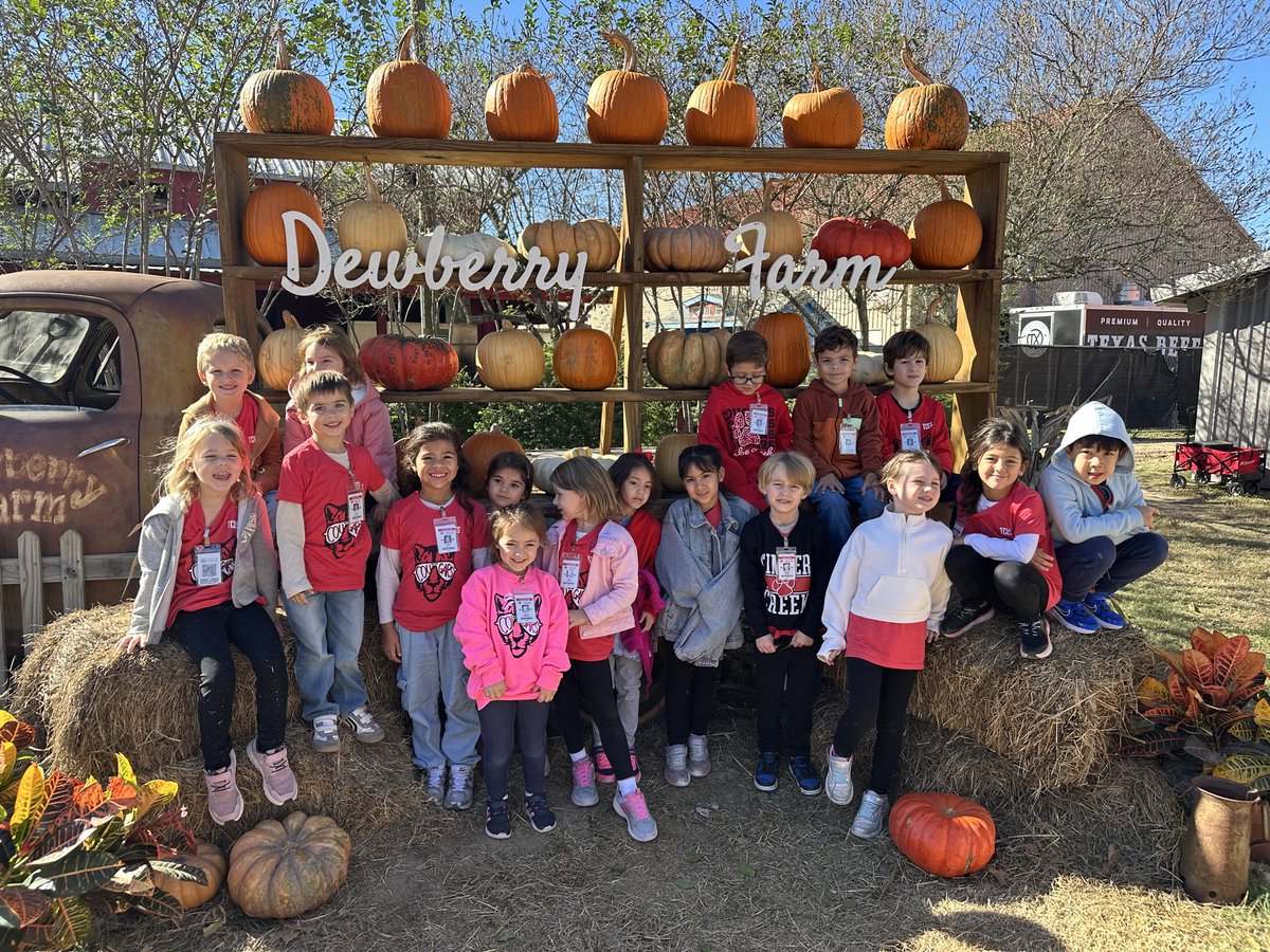 Timber Creek Elementary tweet media
