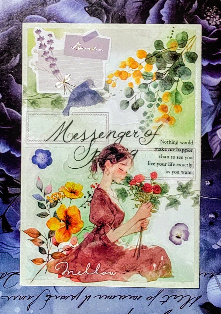 mako-collage (@n8OLsoqNDZ30138) / Posts / X