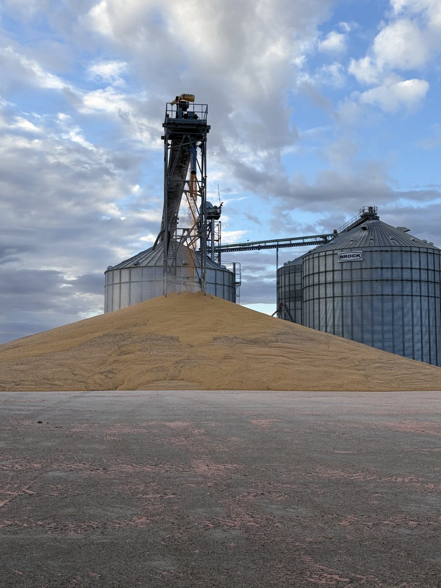 We are on the downward side of harvest as we are now pushing corn out to the pile.