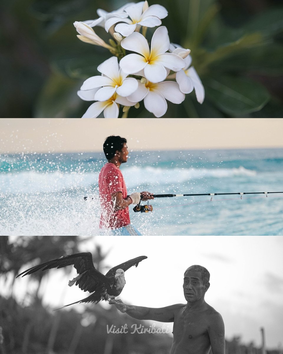 Meet the proud faces of Arorae Island and Witness the majestic frigate birds soaring above, waiting for their share of the day’s catch from the local fishermen.
 🌊🕊️#aroraeisland  #culturaltourism  #sustainableliving  #visitkiribati