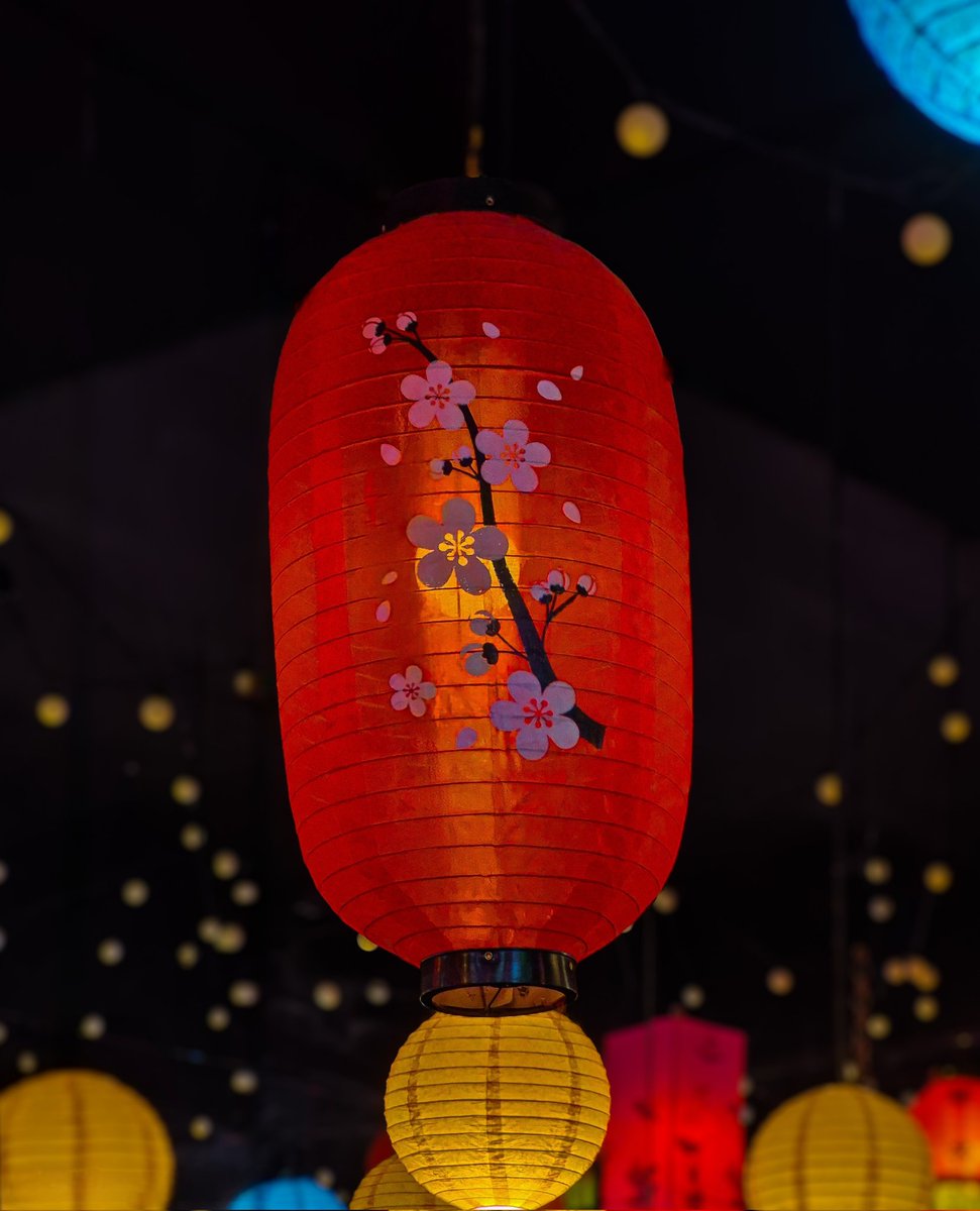 fazri91's tweet image. Hanya lampion di tengah kegelapan.

📱: #withGalaxy @samsungID #GalaxyS25 FE

#BeneranWorthIt #GalaxyAI #SamsungMembers #SMID #nightography