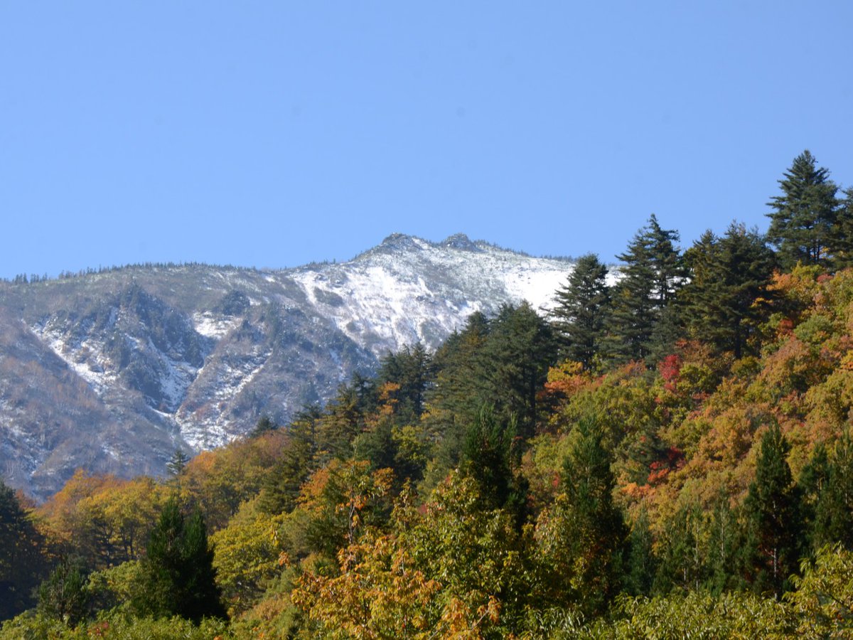 minamiaizukanko's tweet image. #南会津町 伊南地域は、寒暖の差が大きく、一気に 紅葉 が見ごろを迎えています!さらに、三ツ岩岳では10月28日に初冠雪❄️
紅葉の見ごろにあわせて直売所をオープンします!鮎の塩焼きや地元の物産品が並びます。また、今年は黄葉が美しい古町の大イチョウでも直売所を行います。
#空ネット #ふくいま