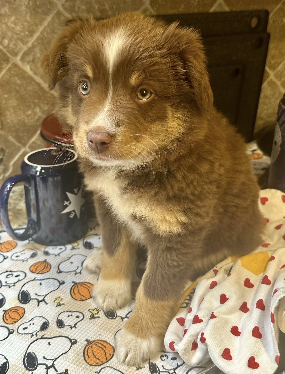 BlaireRule424 tweet media