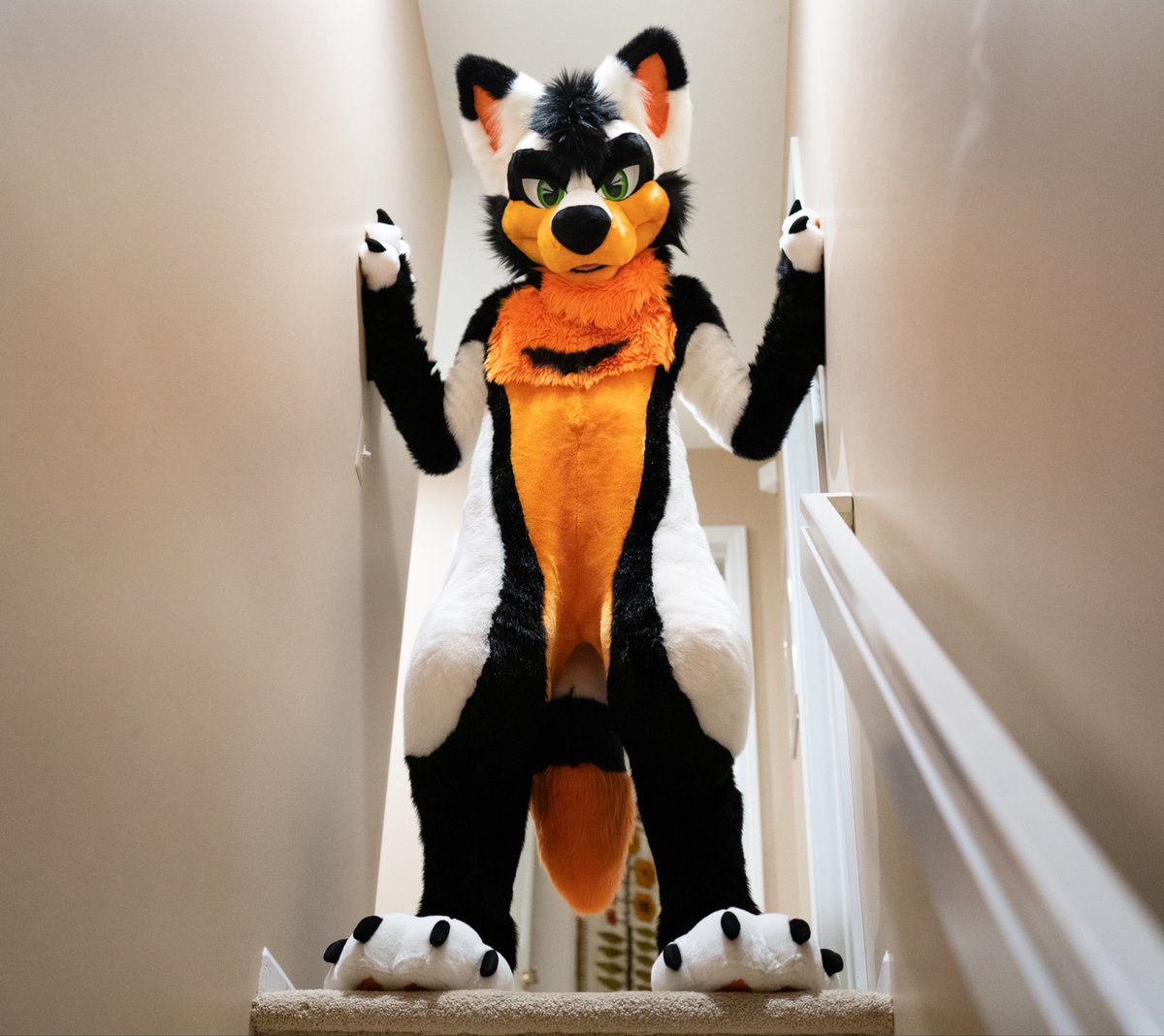 Zephyr_Jackal's tweet image. Is slightly tall